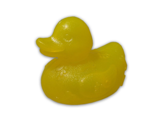 Hračka - kachna